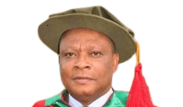 Prof. Aloysius-Michaels Okolie