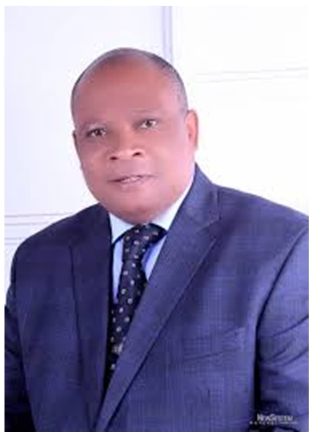 Professor Aloysius-Michaels Okolie, The Vice-Chancellor